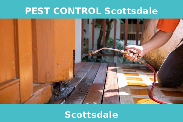 PEST CONTROL Scottsdale